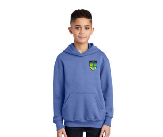 Youth Light Blue Hoodie- Harmony