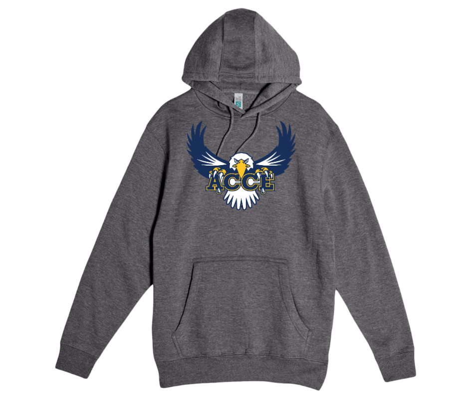 Adult Dark Grey Hoodie- College and Career Exploration