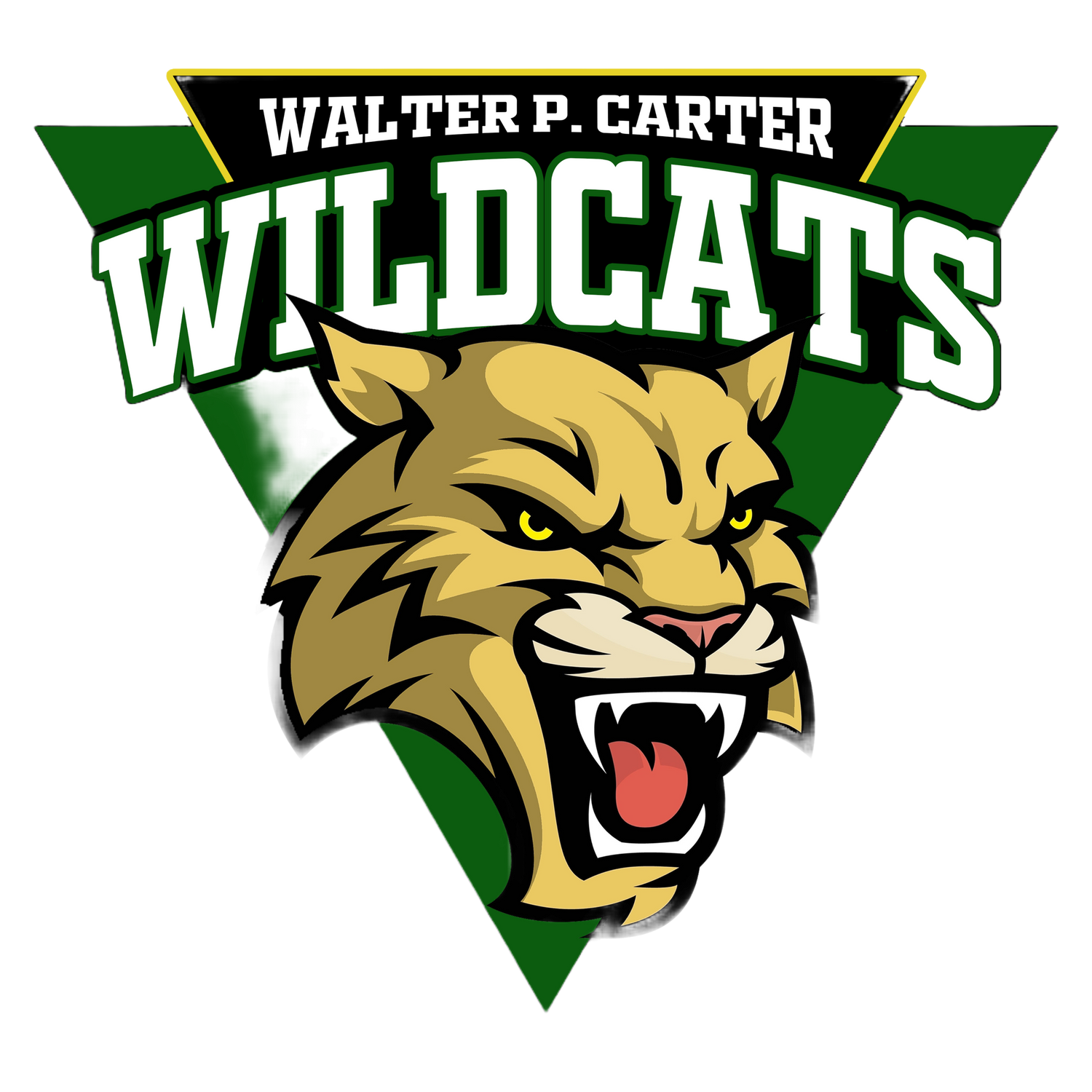 Walter P. Carter Elementary/ Middle School