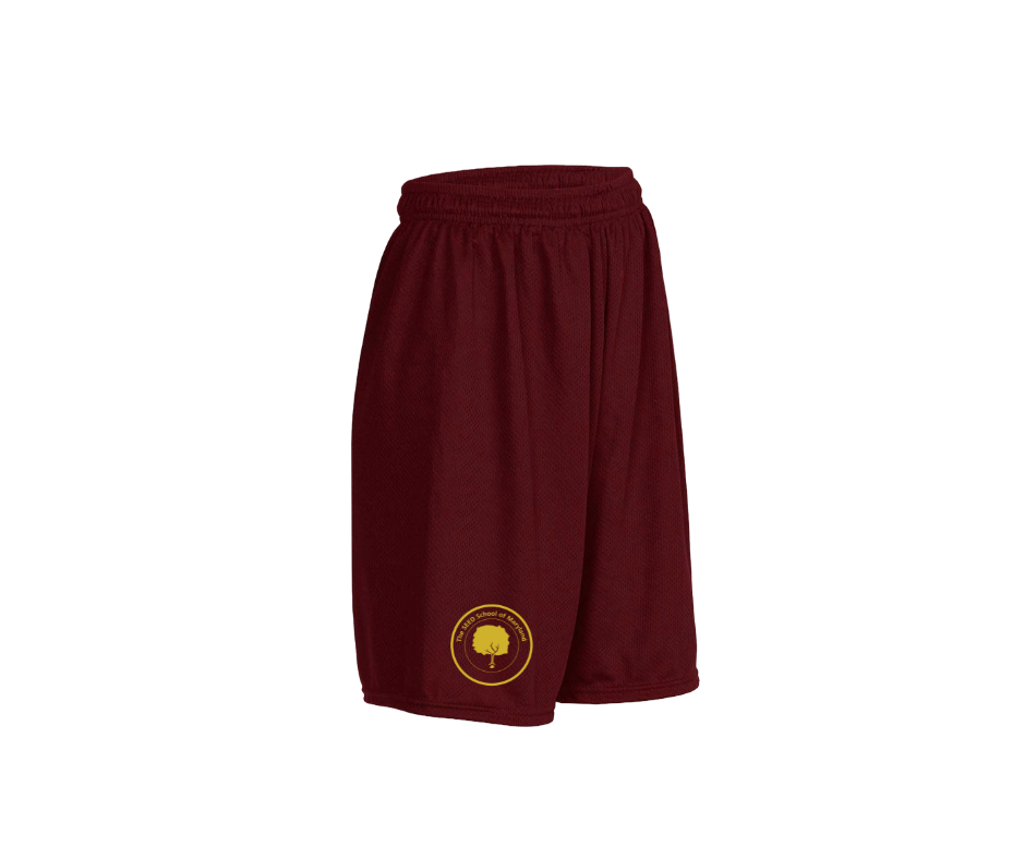 Youth Mesh Gym Shorts- SEED School of MD