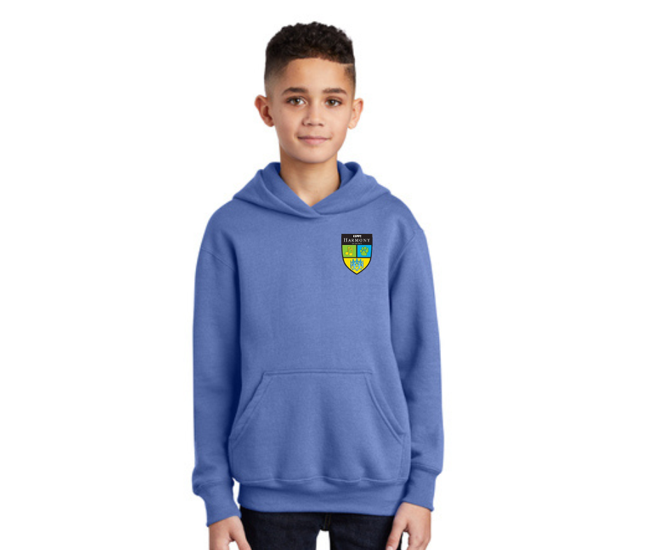 Youth Hoodie- Harmony