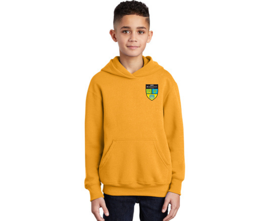 Youth Hoodie- Harmony